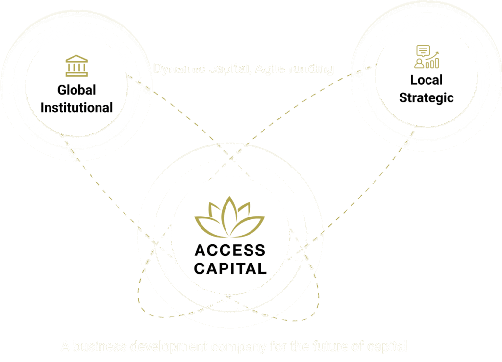 Access Cap Funding Strategy Chart